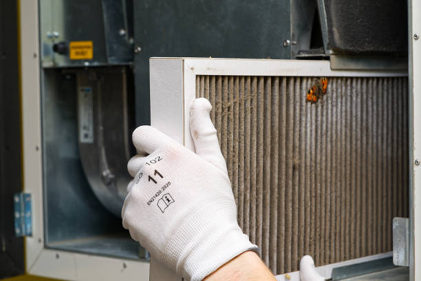 Best Local Air Duct Cleaning Services  in Magnolia, AR